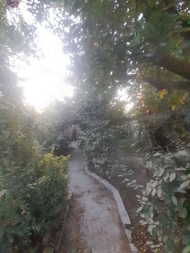 тап аз недвижимость: 2 sot, Mülkiyyətçi, Bələdiyyə