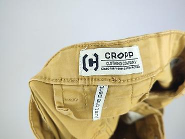 cropp cargo: Cropp, Chinosy dla mężczyzn, rozmiar L — 4
