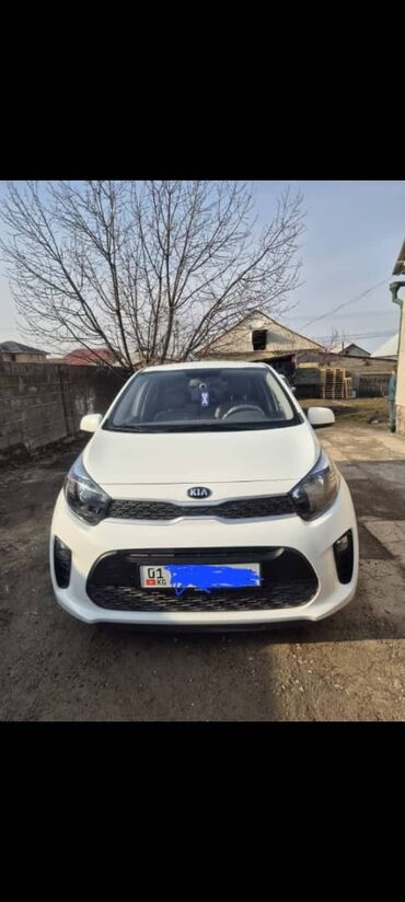 Kia: Kia Morning: 2019 г., 1 л, Автомат, Бензин, Хэтчбэк