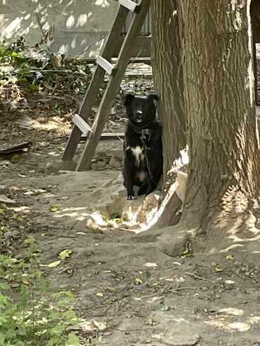 Продажа домов: Дом, 81 м², 4 комнаты, Собственник, Старый ремонт — 4