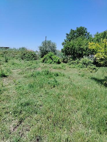 Torpaq sahələrinin satışı: 200 sot, Mülkiyyətçi, Kupça (Çıxarış) — 12