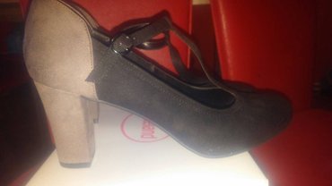 Salonke: Salonke, Graceland, 41 — 8