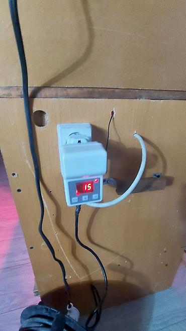 Товары и оборудование для с/х животных: Прошу уточнять наличие и читать внимательно, Брудер для — 4