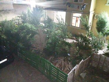 Kommersiya daşınmaz əmlakının satışı: Obiyekt satılır.Ofis üçün,telebe hazirlasdirmaq ucun ela yerdi.36 -da lalafo.az — 18 Kommersiya daşınmaz əmlakının satışı: Obiyekt satılır.Ofis üçün,telebe hazirlasdirmaq ucun ela yerdi.36 — 18