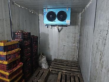 морозильные камеры бу: 5000 * * 2000 см 2300 — 2