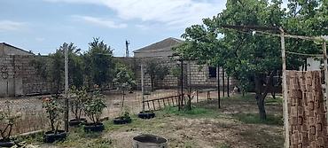 qaxda satilan evler: Həyətyanı torpaq sahəsi və quşçuluq üçün hazır infrastruktur - Geniş — 3
