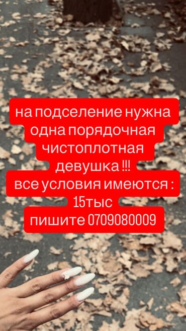 аренда домов на длительный срок: 1 бөлмө, Менчик ээси, Чогуу жашоо менен, Жарым -жартылай эмереги бар