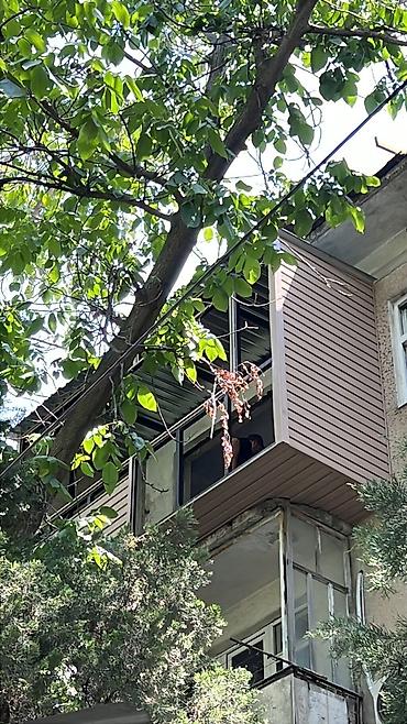 Курулуш жана оңдоо кызматтары: Балконду, лоджияны жылуулоо, Полдорду жылуулоо, Шыптарды жылуулоо | Үйдү жылуулоо, Батирди жылуулоо, Контейнерди жылуулоо Пенопласт, Пеноплекс, Минералдык жүн 6 жылдан ашык тажрыйба — 9