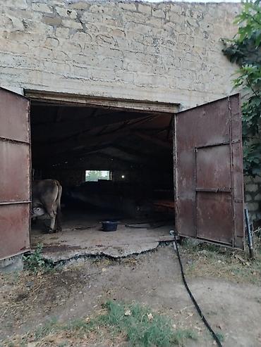 Kənd təsərüfatı heyvanları üçün digər mallar: Ferma/təsərrüfat kompleksi - Heyvandarlıq üçün tikili və açıq — 9