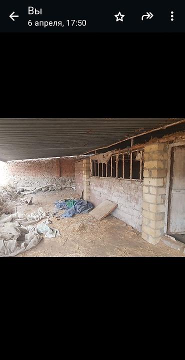 ferma satan: 16 sot, Biznes üçün, Mülkiyyətçi, Kupça (Çıxarış), Bələdiyyə — 8