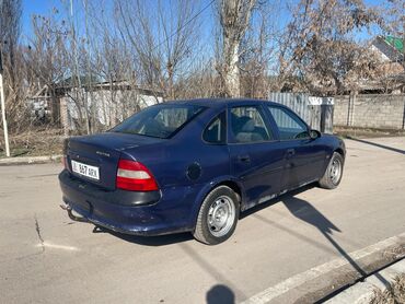 Opel: Opel Vectra: 1996 г., 1.6 л, Механика, Бензин, Седан