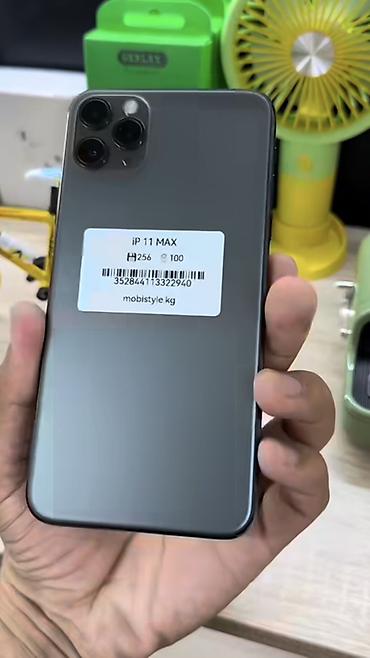 Смартфон iPhone 11 Pro Max, цвет Space Gray. Основные характеристики