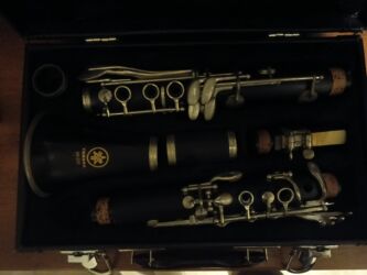 Пианино: Yamaha YLC-255 modelidir. 4-ay işlənib. alindigi kimi təzədir. hec bir