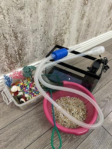 Akvariumlar: Dördbucaq akvarium, Boş, 6 l, Ünvandan götürmə — 1