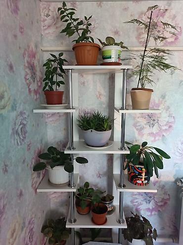 Долгосрочная аренда комнат: 80 м², С мебелью — 9