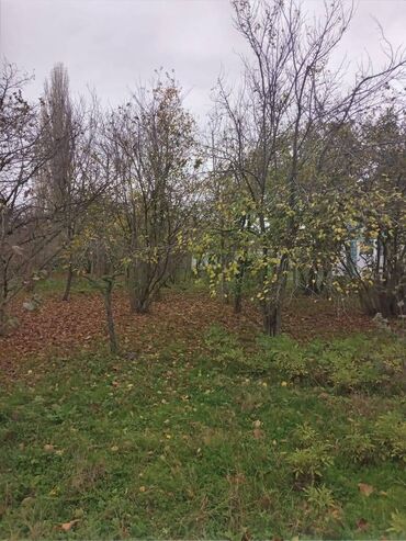 Həyət evləri və villaların satışı: 4 otaqlı, 110 kv. m, Kredit yoxdur, Təmirsiz — 7