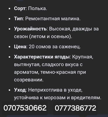 кресло кровати недорого: Малина Оптом, Самовывоз
