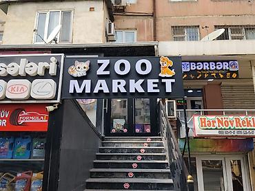 Reklam lövhələri: “ZOO MARKET” işıqlandırılan vitrin lövhəsi.qiymetde razilasmaq — 2