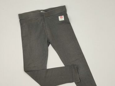 krótkie spodenki chłopięce 128: Legginsy dziecięce, Little kids, 8 lat, 122/128, stan - Bardzo dobry