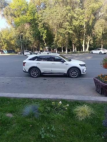 sorento 2020: Kia Sorento: 2020 г., 2.2 л, Автомат, Дизель, Кроссовер — 8