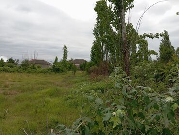 Torpaq sahələrinin satışı: 6 sot, Tikinti, Mülkiyyətçi, Kupça (Çıxarış) — 4