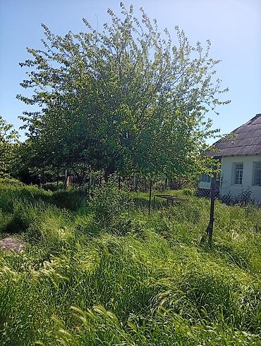 Torpaq sahələrinin satışı: 38 sot, Mülkiyyətçi, Kupça (Çıxarış) — 22