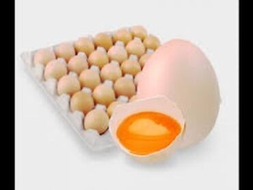утинные яйца: Приглашаем к сотрудничеству продуктовые магазины и точки розничной