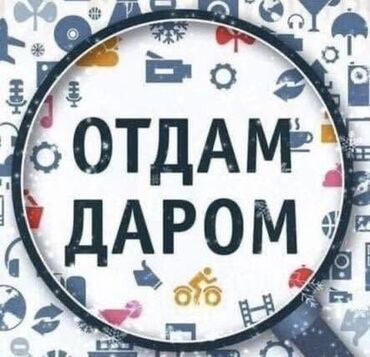 домашние вещи: Отдам даром 👶 Коляска в рабочем состоянии (2 люльки: сидячая и