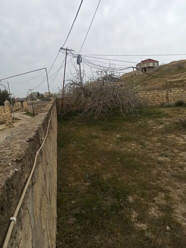 Torpaq sahələrinin satışı: 30 sot, Mülkiyyətçi, Kupça (Çıxarış) — 12