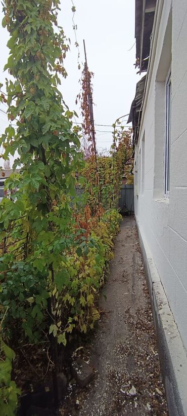 Продажа домов: Полдома, 45 м², 3 комнаты — 6