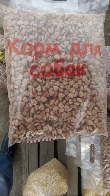 корм для форели в кыргызстане: Корм для собак 2,5кг