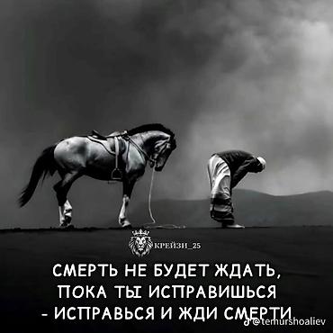 бу цветы бишкек: Куплю вагончик не дорогой — 1