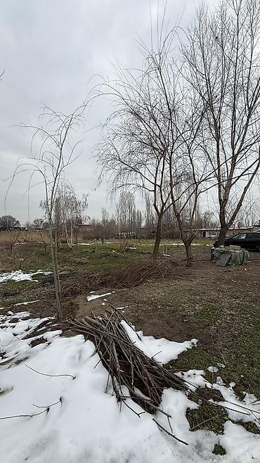 Продажа участков: 8 соток, Для бизнеса, Красная книга, Договор купли-продажи — 14