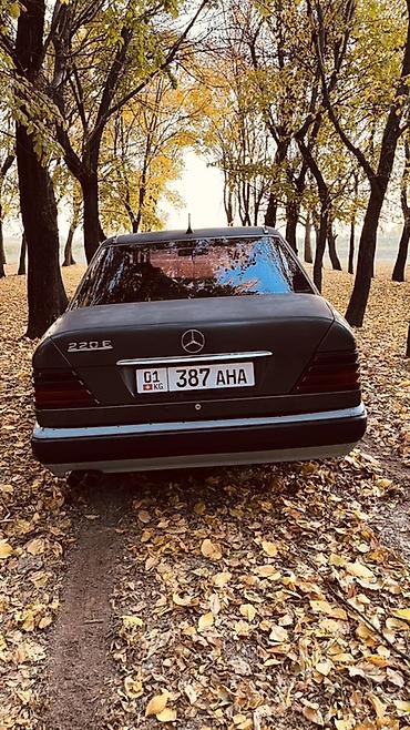 mersedes e220: Mercedes-Benz W124: 1994 г., 2 л, Механика, Бензин, Седан — 5