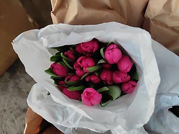 Букеты из живых цветов: Тюльпаны в крафтовой упаковке — срезанные бутоны на крепких стеблях — 7