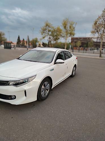 maşın opel: Kia K5: 2 l | 2017 il Sedan — 3