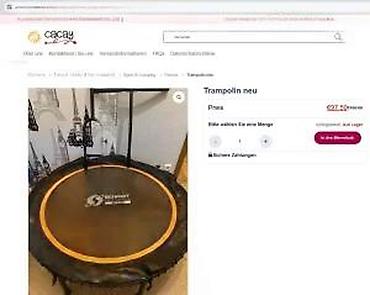 Ostale sprave za vežbanje: Mini fitnes trambolina sa ručkom – Schmidt Sportsworld (model na — 11