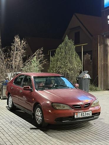 eva: Nissan Primera: 2002 г., 1.8 л, Механика, Бензин, Седан — 1