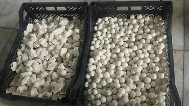 Дом и сад: Домашние натуральные продукты - Молоко коровье, разлито в пластиковые — 10