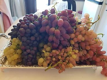 Продажа участков: 100 соток, Для бизнеса, Договор купли-продажи at lalafo.kg — 14 Продажа участков: 100 соток, Для бизнеса, Договор купли-продажи — 14