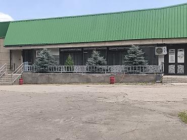 требуется руководитель: Требуется сотрудник: Столовая, Оплата: Еженедельно — 2