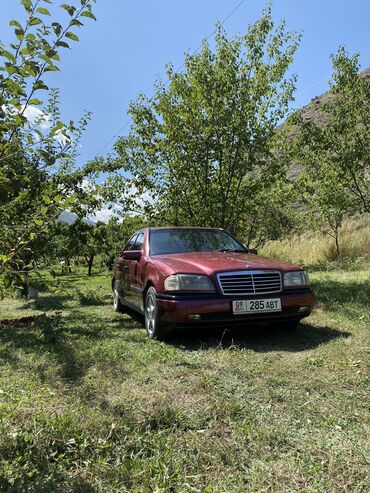 авто рынок: Mercedes-Benz CL 180: 1995 г., 1.8 л, Механика, Бензин, Седан