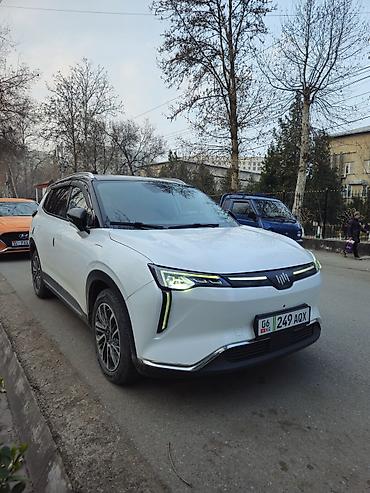 Другие автомобили: Электромобиль кроссовер (7 мест, судя по габаритам) в белом цвете — 2