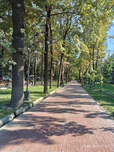 парикмахерский помошник: Ижарага берем Офистик, 35 кв. м, Турак комплексинде, Өзүнчө кире бериши менен, Өзүнчө санитардык түйүнү менен