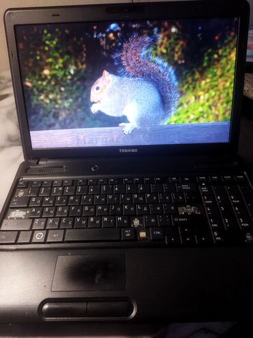toshiba qosmio: Toshiba Satellite C660-M302 noutbuk Texniki göstəricilər: - Ekran