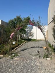 Uzunmüddətli kirayə evlər: 170 kv. m, 5 otaqlı, Qaz, İşıq, Su — 10