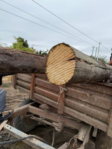 Reykalar, taxtalar: Məhsul: Tikinti üçün taxta materialları və metal qapılar Təsvir: - -da lalafo.az — 18 Reykalar, taxtalar: Məhsul: Tikinti üçün taxta materialları və metal qapılar Təsvir: - — 18