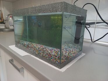 Akvariumi: AKVARIJUM za ribice dimenzija: D-40cm Š-21cm V-24,5cm sa dvodelnim — 9