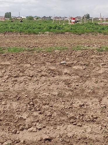 Куплю земельный участок: 10 соток — 6