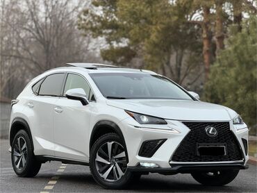 лехсус 400: Lexus NX: 2019 г., 2 л, Автомат, Бензин, Кроссовер